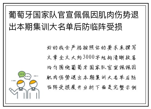 葡萄牙国家队官宣佩佩因肌肉伤势退出本期集训大名单后防临阵受损
