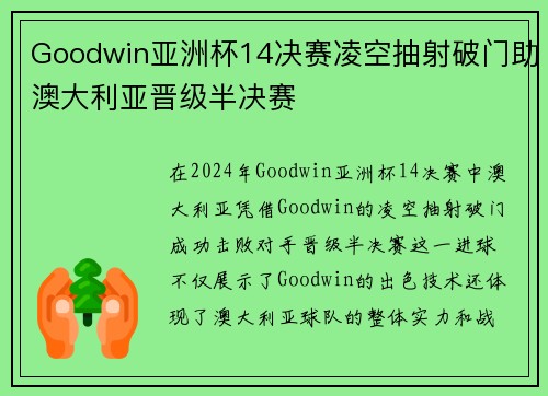 Goodwin亚洲杯14决赛凌空抽射破门助澳大利亚晋级半决赛
